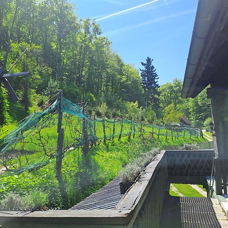 Das Altsteirische Landhaus - La Maison De Pronegg - Feriendomizil Im Biosphaerenpark Wienerwald Pressbaum Ngoại thất bức ảnh