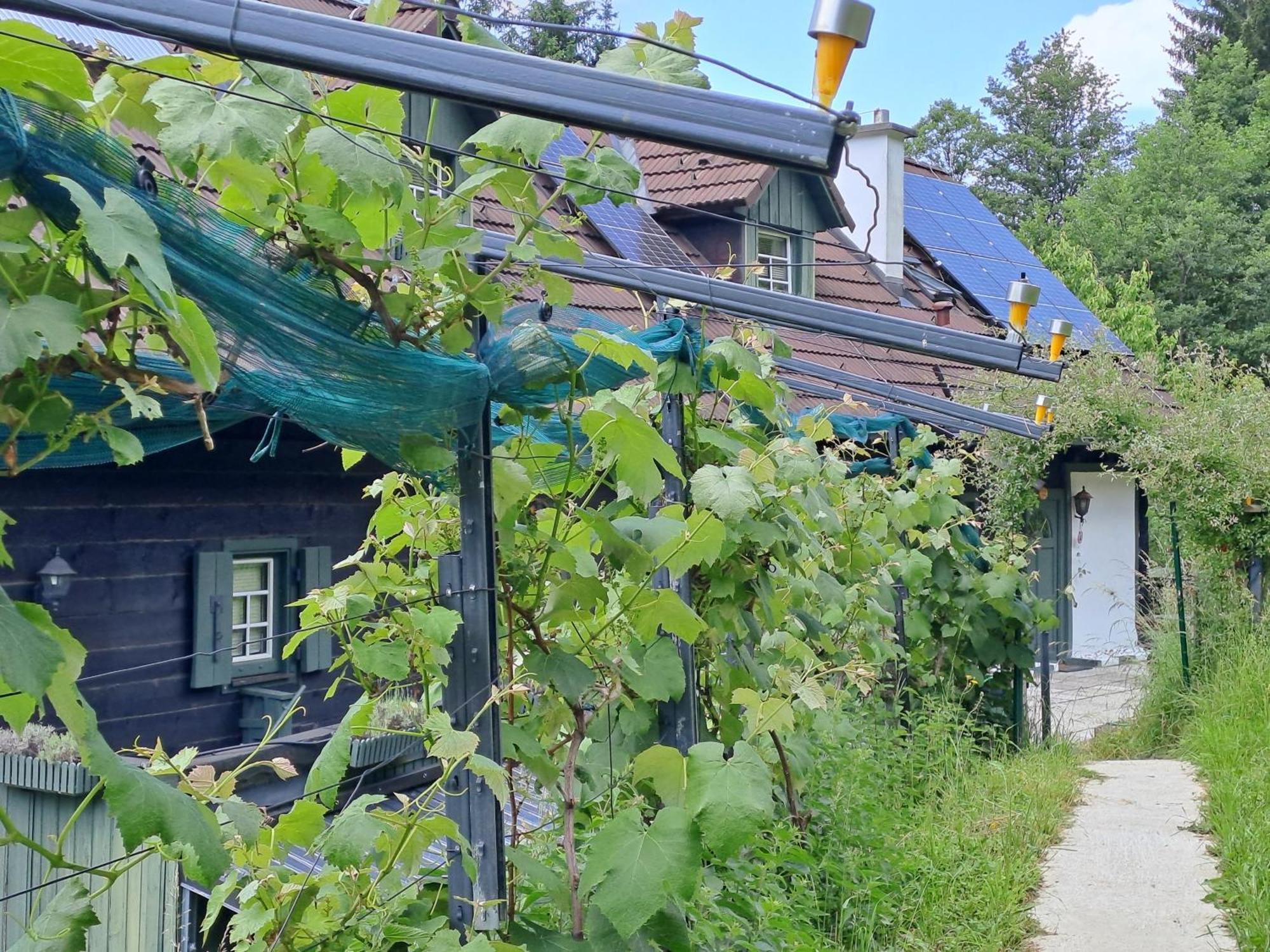 Das Altsteirische Landhaus - La Maison De Pronegg - Feriendomizil Im Biosphaerenpark Wienerwald Pressbaum Ngoại thất bức ảnh