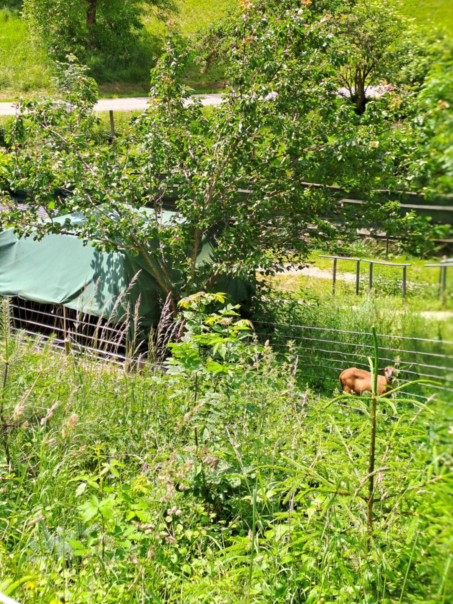 Das Altsteirische Landhaus - La Maison De Pronegg - Feriendomizil Im Biosphaerenpark Wienerwald Pressbaum Ngoại thất bức ảnh