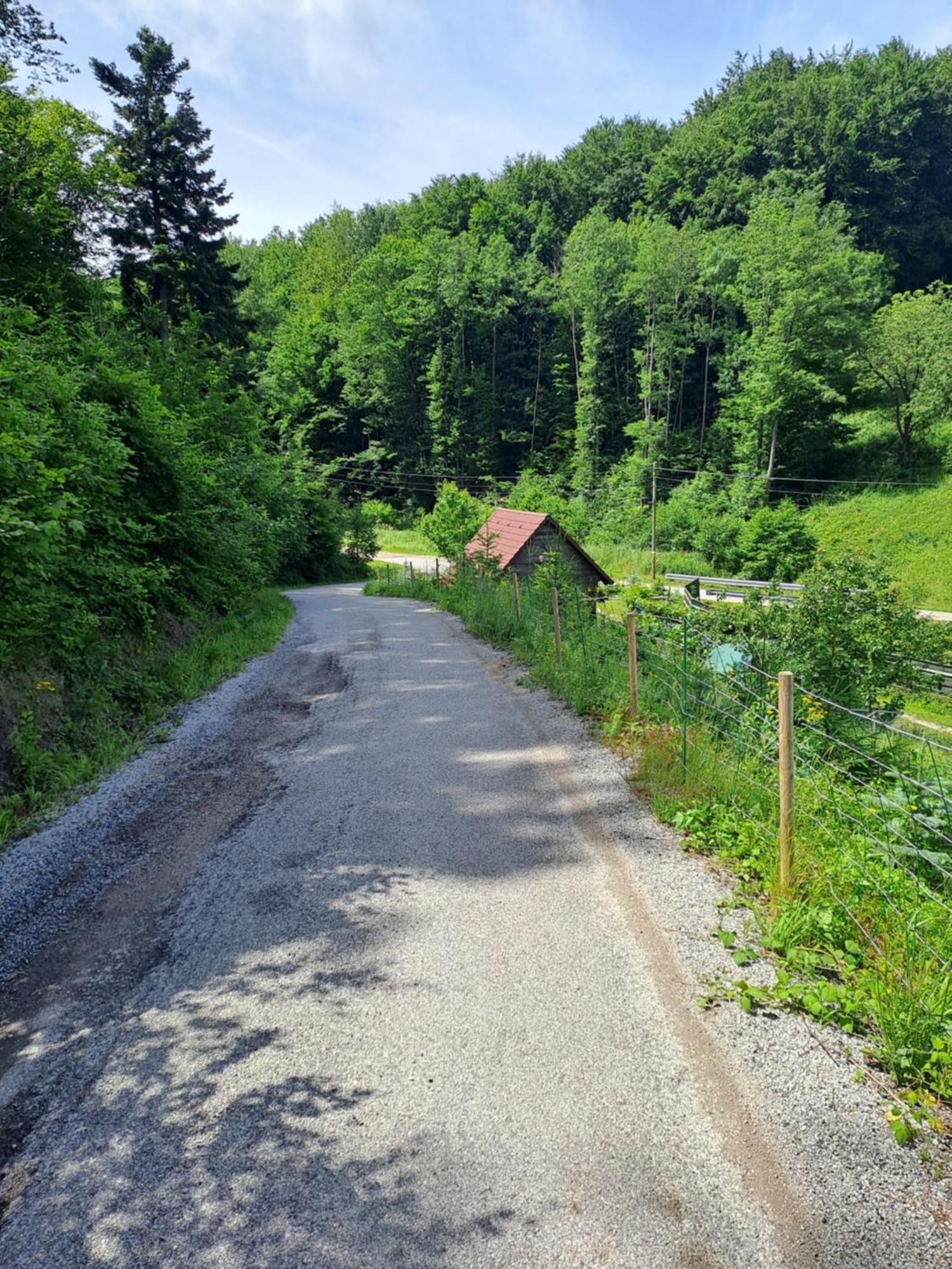 Das Altsteirische Landhaus - La Maison De Pronegg - Feriendomizil Im Biosphaerenpark Wienerwald Pressbaum Ngoại thất bức ảnh