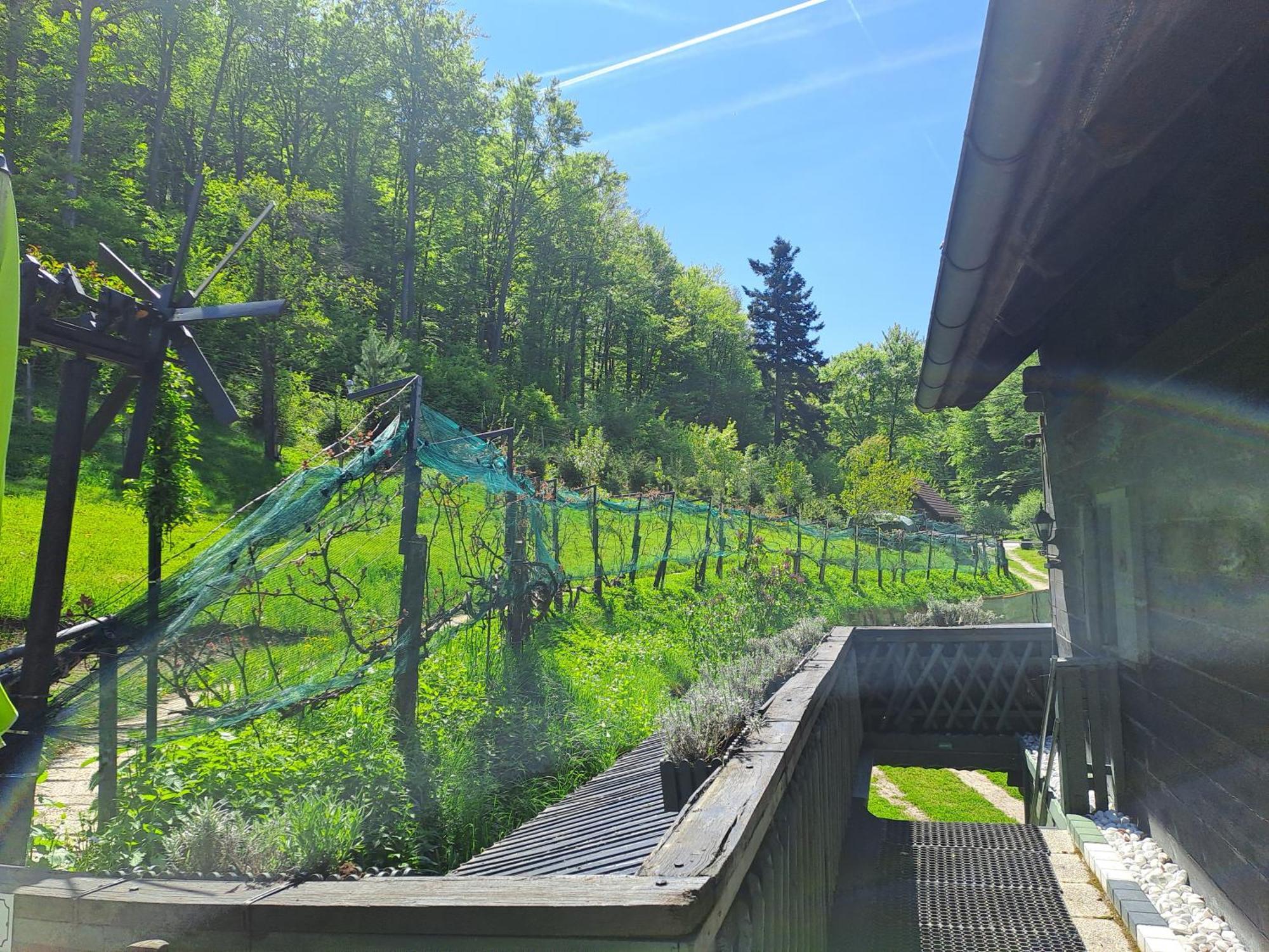 Das Altsteirische Landhaus - La Maison De Pronegg - Feriendomizil Im Biosphaerenpark Wienerwald Pressbaum Ngoại thất bức ảnh