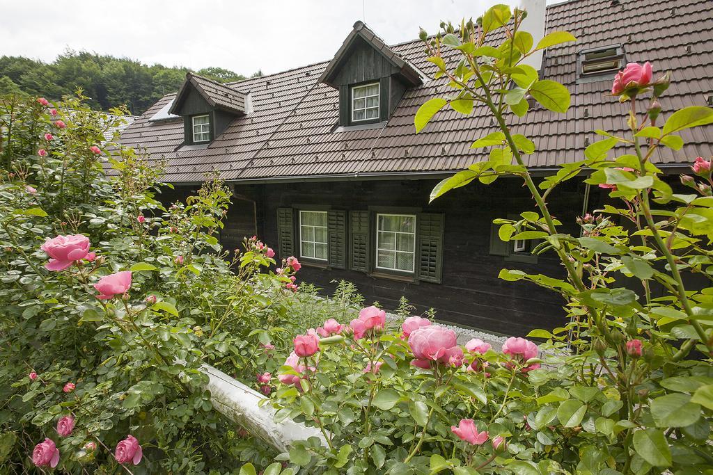 Das Altsteirische Landhaus - La Maison De Pronegg - Feriendomizil Im Biosphaerenpark Wienerwald Pressbaum Phòng bức ảnh